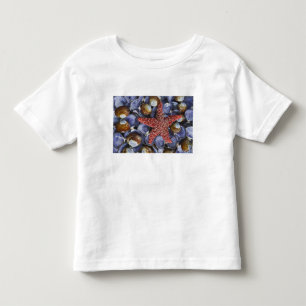 USA, Washington, Hood Canal, Seabeck. Närbild T Shirt