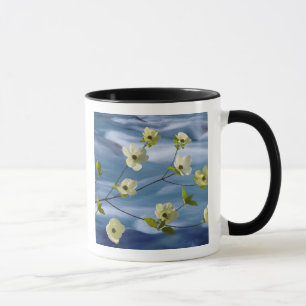 USA, Washington, Hood Canal. Stillahavsdådra Mugg