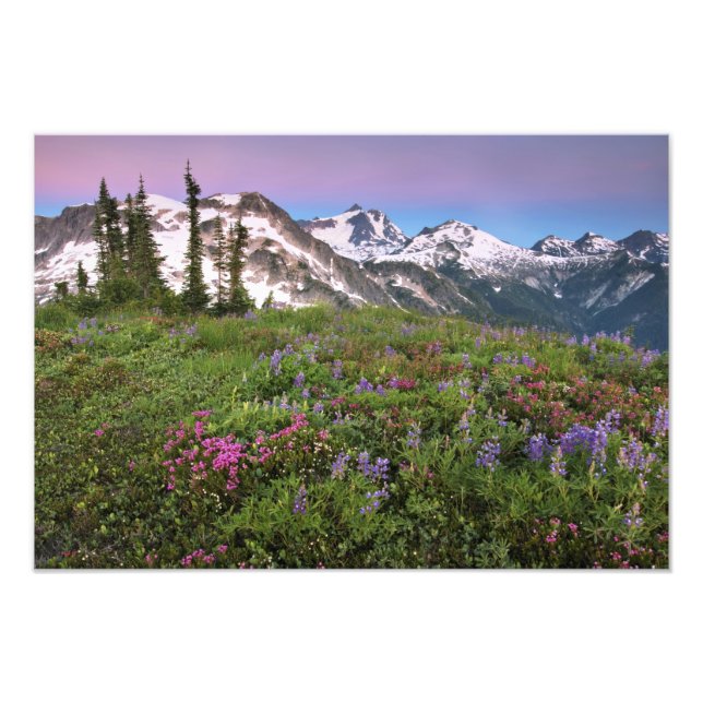 USA, Washington, Kaskadberget, Norr Fototryck (Framsidan)