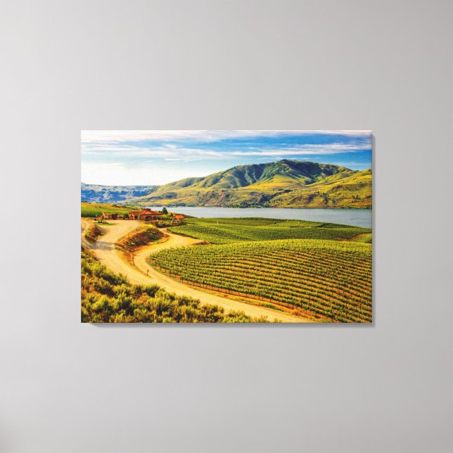 USA, Washington, Lake Chelan. Benson Vineyards Canvastryck (Framsida)