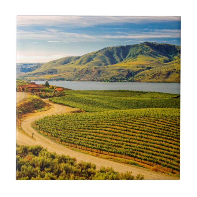 USA, Washington, Lake Chelan. Benson Vineyards Kakelplatta (Framsidan)