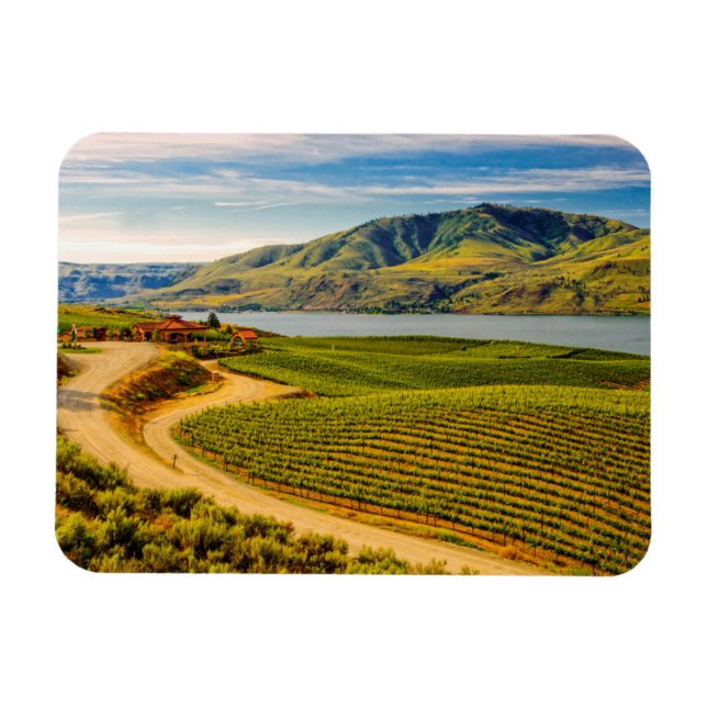 USA, Washington, Lake Chelan. Benson Vineyards Magnet (Horisontell)
