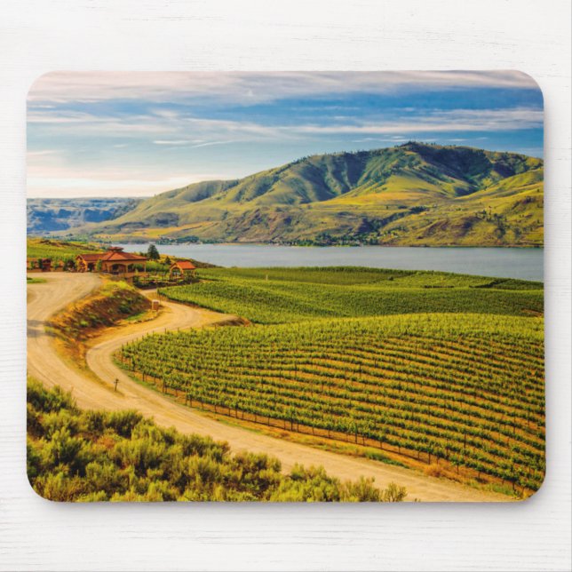 USA, Washington, Lake Chelan. Benson Vineyards Musmatta (Framsidan)