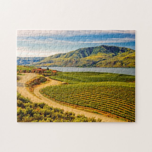 USA, Washington, Lake Chelan. Benson Vineyards Pussel (Horisontell)
