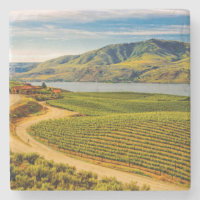 USA, Washington, Lake Chelan. Benson Vineyards