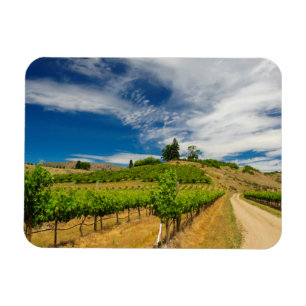 USA, Washington, Lake Chelan. Vinberg 3 Magnet