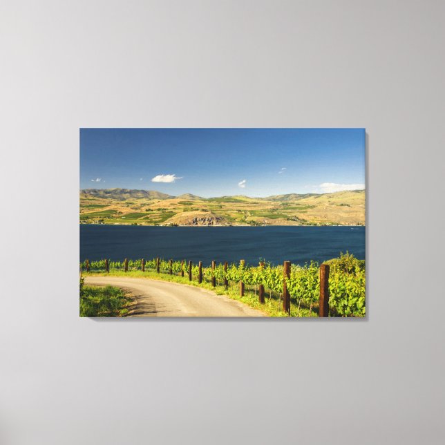 USA, Washington, Lake Chelan. Vinberg Canvastryck (Framsida)