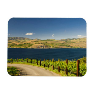 USA, Washington, Lake Chelan. Vinberg Magnet