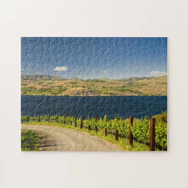 USA, Washington, Lake Chelan. Vinberg Pussel (Horisontell)