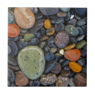 USA, Washington, Lopez Island, Agate Beach Kakelplatta