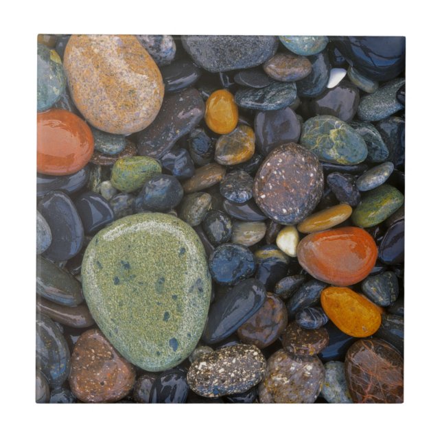 USA, Washington, Lopez Island, Agate Beach Kakelplatta (Framsidan)