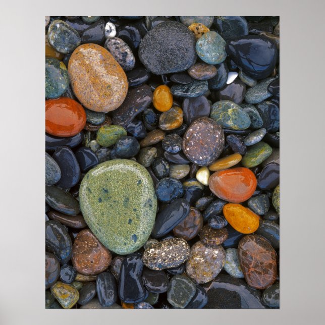 USA, Washington, Lopez Island, Agate Beach Poster (Framsidan)