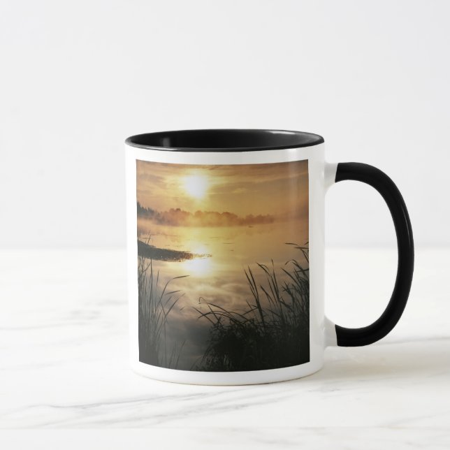 USA, Washington, Lopez Island, Morgondimma på Mugg (Höger)