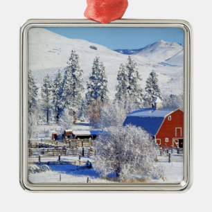 USA, Washington, Methow Valley, Lador i Julgransprydnad Metall