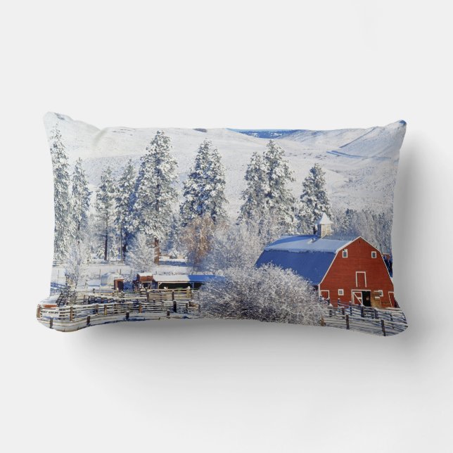 USA, Washington, Methow Valley, Lador i Lumbarkudde (Framsida)