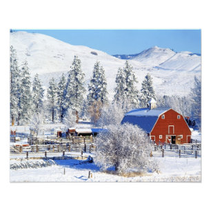USA, Washington, Methow Valley, Ladugårdar i Fototryck