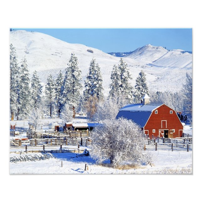 USA, Washington, Methow Valley, Ladugårdar i Fototryck (Framsidan)