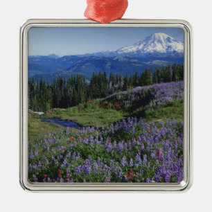 USA, Washington Mt. Adams Wilderness, ängar Julgransprydnad Metall
