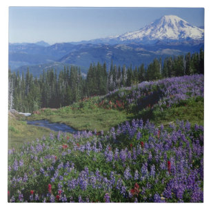 USA, Washington Mt. Adams Wilderness, ängar Kakelplatta