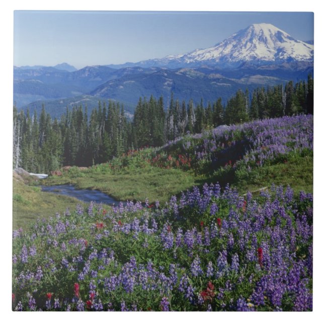 USA, Washington Mt. Adams Wilderness, ängar Kakelplatta (Framsidan)
