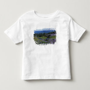 USA, Washington Mt. Adams Wilderness, ängar Tee Shirt