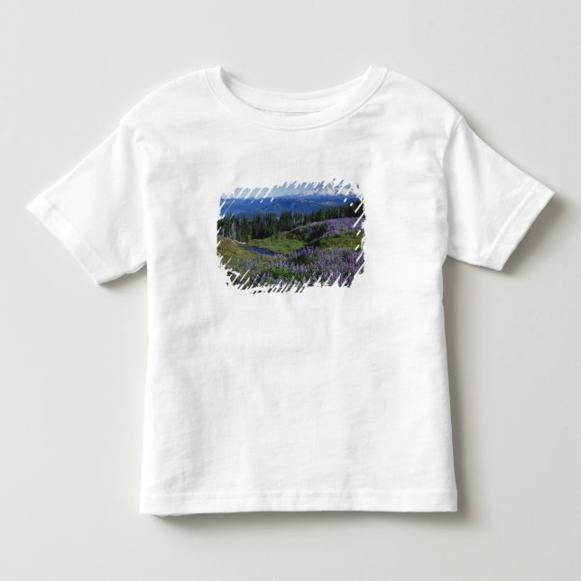 USA, Washington Mt. Adams Wilderness, ängar Tee Shirt (Framsida)
