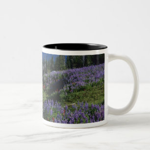 USA, Washington Mt. Adams Wilderness, ängar Två-Tonad Mugg
