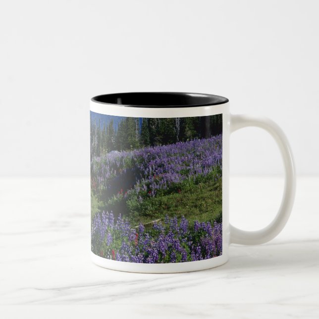 USA, Washington Mt. Adams Wilderness, ängar Två-Tonad Mugg (Höger)