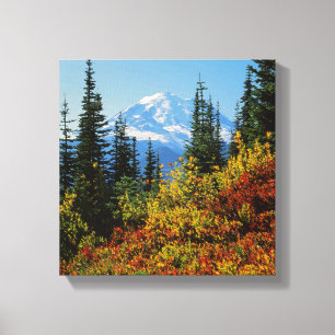USA, Washington, Mt. Rainier National Park 2 Canvastryck