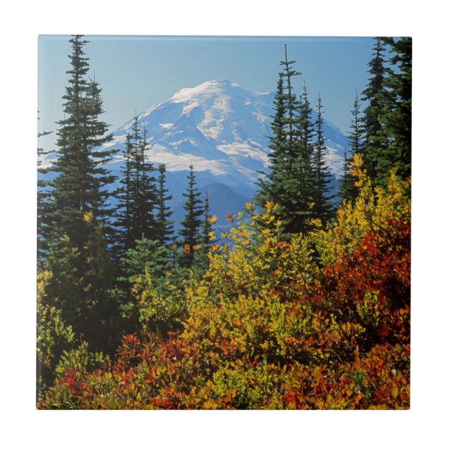 USA, Washington, Mt Rainier National Park 2 Kakelplatta (Framsidan)