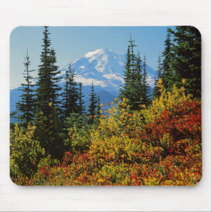 USA, Washington, Mt. Rainier National Park 2 Musmatta