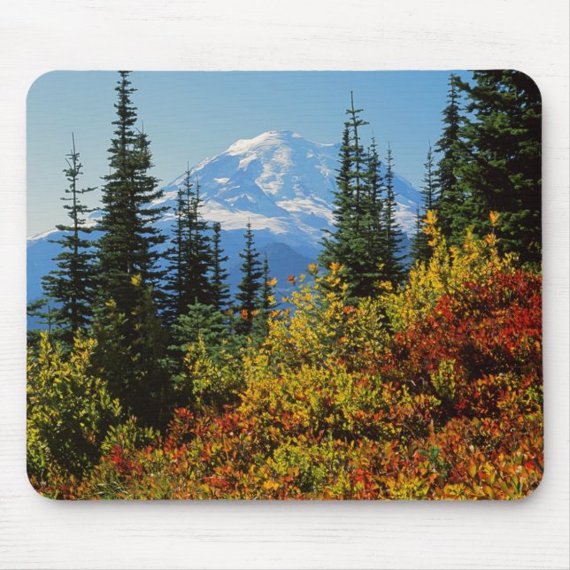USA, Washington, Mt. Rainier National Park 2 Musmatta (Framsidan)