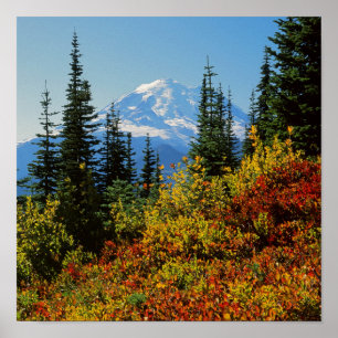 USA, Washington, Mt Rainier National Park 2 Poster