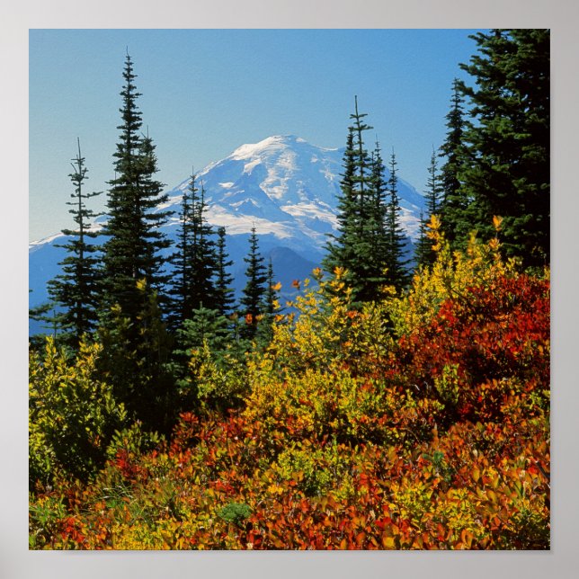 USA, Washington, Mt Rainier National Park 2 Poster (Framsidan)