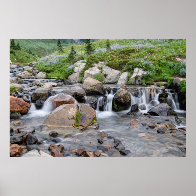 USA, Washington, Mt. Rainier National Park 3 Poster (Framsidan)