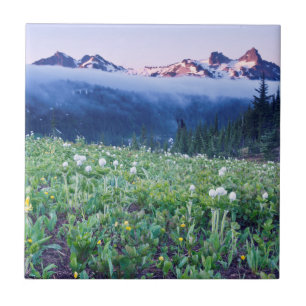 USA, Washington, Mt. Rainier National Park 4 Kakelplatta