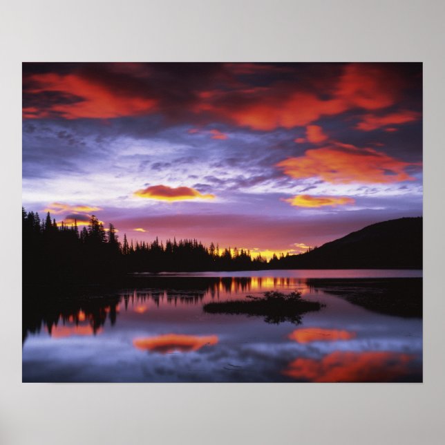 USA, Washington, Mt. Rainier National Park, Poster (Framsidan)