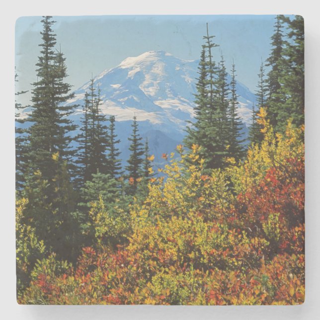 USA, Washington, Mt. Rainier nationalpark 2 Underlägg Sten (Framsidan)