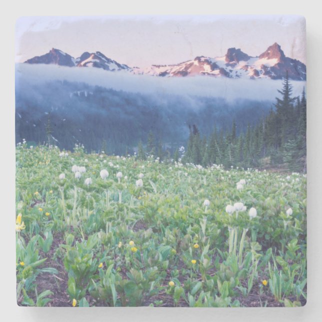 USA, Washington, Mt. Rainier Nationalpark 4 Stenunderlägg (Framsidan)