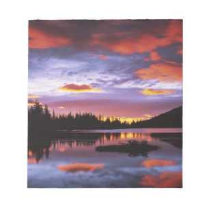 USA, Washington, Mt. Rainier nationalpark, Anteckningsblock