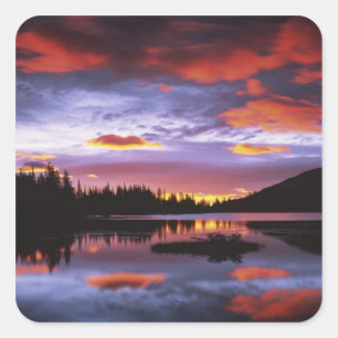 USA, Washington, Mt. Rainier nationalpark, Fyrkantigt Klistermärke