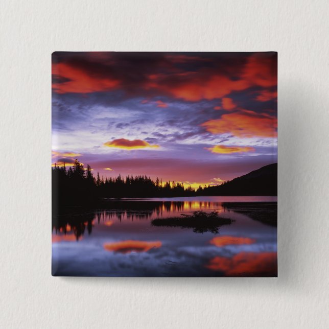USA, Washington, Mt. Rainier nationalpark, Knapp (Framsida)