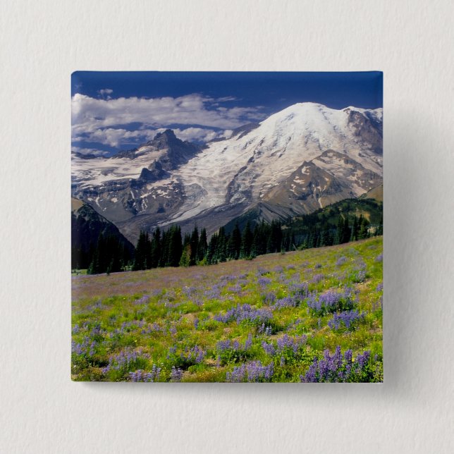 USA, Washington, Mt. Rainier nationalpark. Knapp (Framsida)