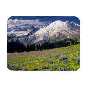 USA, Washington, Mt. Rainier nationalpark. Magnet