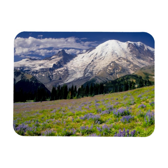 USA, Washington, Mt. Rainier nationalpark. Magnet (Horisontell)