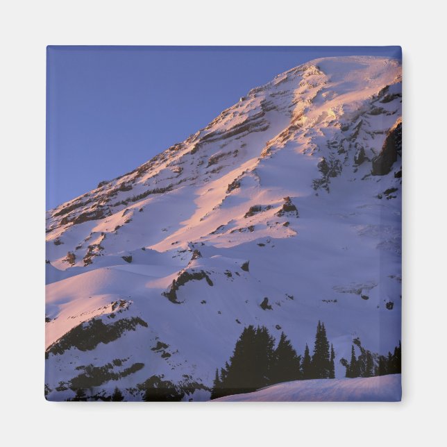 USA, Washington, Mt. Rainier nationalpark Magnet (Framsidan)