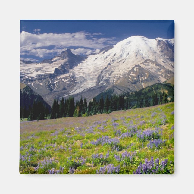 USA, Washington, Mt. Rainier nationalpark. Magnet (Framsidan)