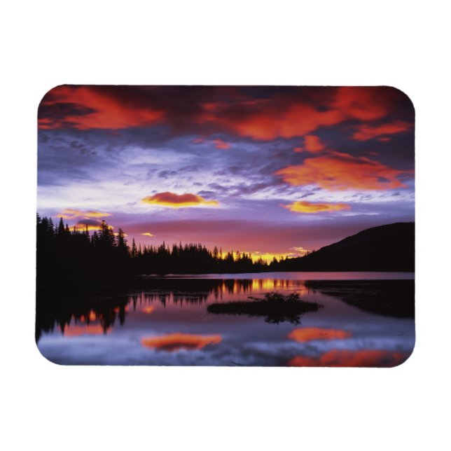 USA, Washington, Mt. Rainier nationalpark, Magnet (Horisontell)