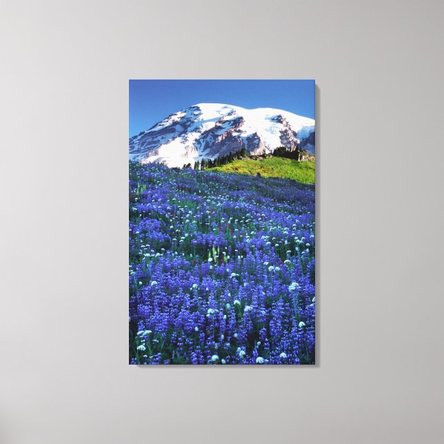 USA, Washington, Mt. Rainier nationalpark. Mt. Canvastryck (Framsida)