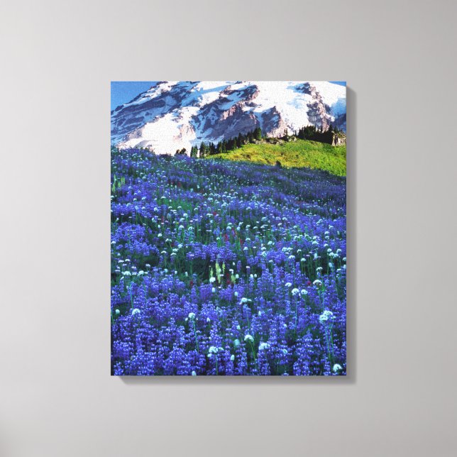 USA, Washington, Mt. Rainier nationalpark. Mt. Canvastryck (Framsida)